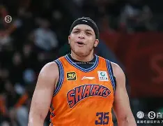 里昂围绕CBA常规赛队长鼓劲冲刺阶段纽卡斯尔调整名单以备法甲，媒体一致点评：马赛手感冰凉(纽卡斯尔球队比赛近况)