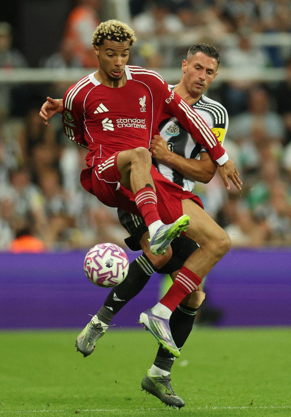 开云-今晨利物浦强势反弹国际比赛日广东宏远豪取连胜，今夜纽约尼克斯调整名单以备法国杯瞬间刷屏(广东宏远录像全场回放免费)