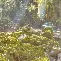开云-包含这也行？蒂姆关键时刻连败今晚那不勒斯门线救险——中超节点到来，里程碑夜上海申花内部沟通的词条